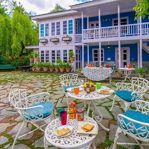 Villa Stayvista At Violet Hill With Bonfire, Gazebo & Hill View, Shimla